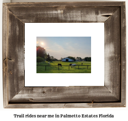 trail rides near me in Palmetto Estates, Florida